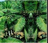 Karnataka Heritage Tour, Heritage Tour of Karnataka India