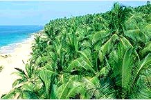 Karnataka Heritage Tour, Heritage Tour of Karnataka India